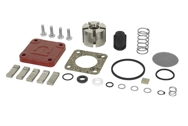 Series 4200 12 Volt Pump Repair Kit